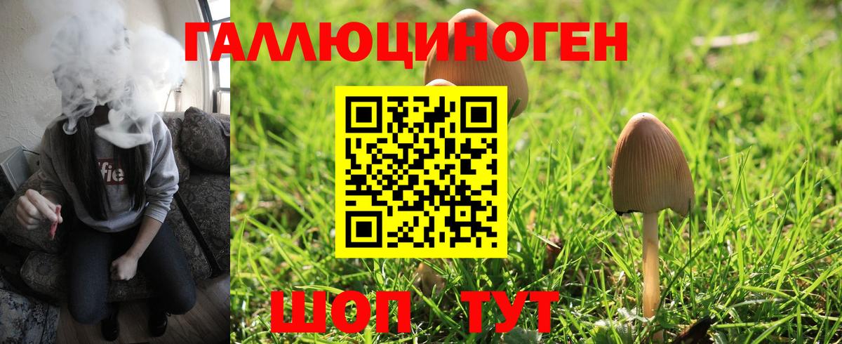 Псилоцибиновые грибы прущие грибы  Вход с VPN  Тамбов 